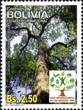 [International Year of Forests, type BOY]
