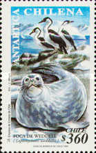 [Antarctica, type BJG]