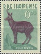[Animals, type KM]