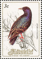 [Birds, type LD]