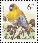[Birds, type BYX]