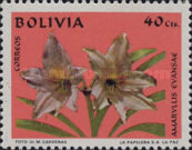 [Bolivian Flora, type OW]