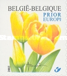 [Darwin Tulip - Self-Adhesive Stamp - Imperforated on 1 or 2 Sides, type CSW]