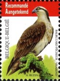 [Birds - Fish Eagle, type DXQ]