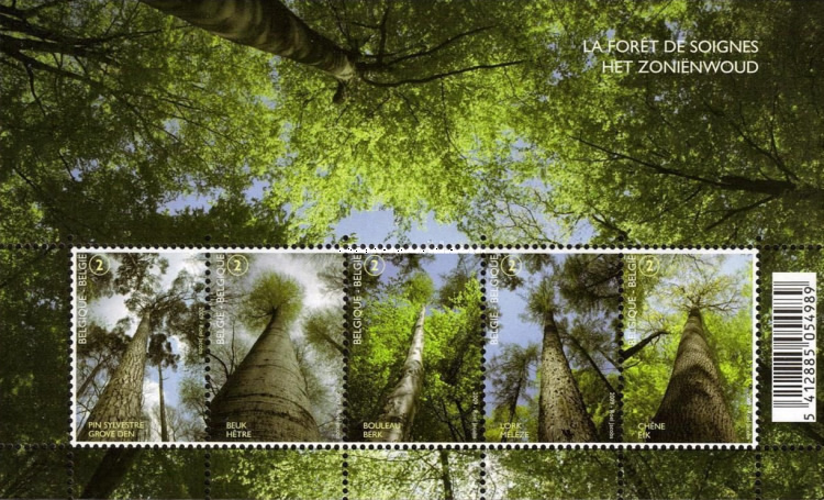[Forest for the Trees, type ]