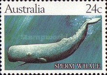 [Whales, type WO]