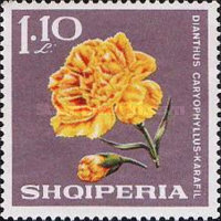 [Flowers, type ADR]