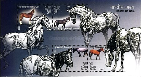[Indigenous Horses of India, type ]