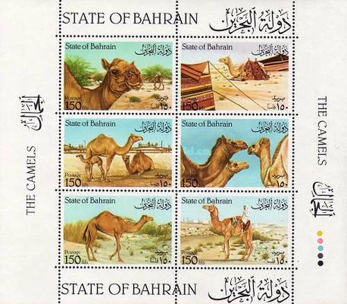[Camels, type ]