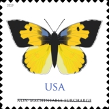 [Butterflies - California Dogface, type GPC1]