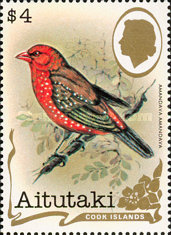 [Birds, type JI]