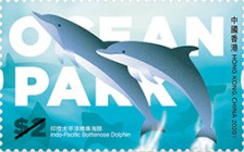 [Hong Kong Theme Park – Ocean Park Hong Kong, type CAA]
