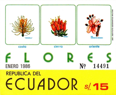 [Flowers, type XVS]