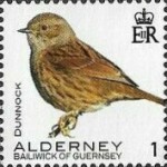 [Definitives - Alderney Birds, type YI]