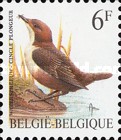 [Birds, type BRL]
