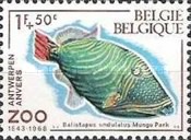 [Fish - The 125th Anniversary of Antwerp Zoo, type AJP]
