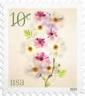 [Flowers, type JAW]