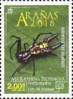 [Spiders, type EQE]