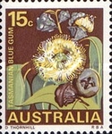 [Flowers, type IY]