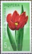 [Flowers - Tulipans, type AKZ]