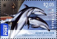 [WWF - Dolphins of the Australian Coastline, type DFE]