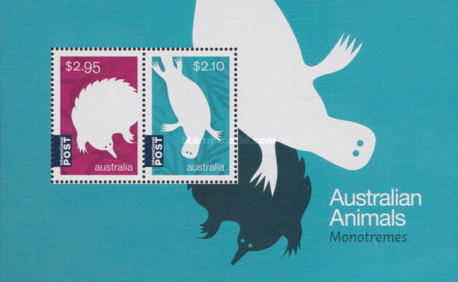 [Australian Animals - Monotremes, type ]