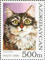 [Cats, type GS]