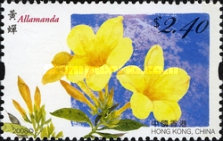 [Flowers, type AXD]