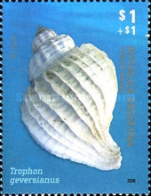 [Mollusk Shells, type DHJ]