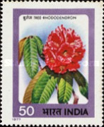 [Indian Flowers, type TY]