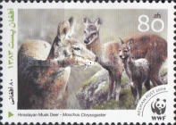 [WWF - Himalayan Musk Deer, type XYD]