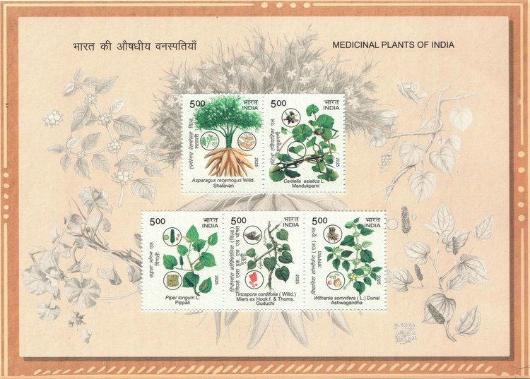 [Medicinal Plants of India, type ]