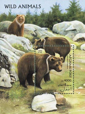 [Fauna - Bears, type ]
