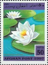 [Flora - Flowers, type AOD]