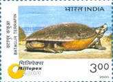 [Millepex 2000 Stamp Exhibition, Bhubaneshwar. Endangered Species, type BHC]