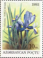 [Flowers, type AN]