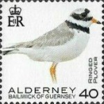 [Definitives - Alderney Birds, type YT]