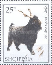 [Domestic Goats, type ADX]