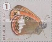 [Butterflies, type XLI]