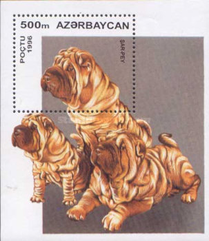 [Dogs, type ]