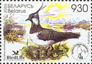 [Bird of the Year - Northern Lapwing, type UW]