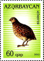 [Fauna - Birds, type AHE]