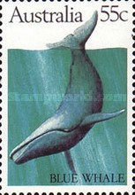 [Whales, type WQ]