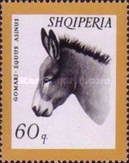 [Domestic Animals, type WK]
