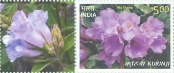 [Kurunji, Kerala - Personalized Vignette, type EDT]