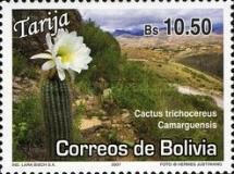 [Tourism - Tarija, type BKB]