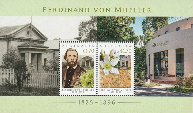 [The 200th Anniversary of the Birth of Ferdinand von Mueller, 1825-1896, type ]