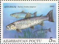 [Fish, type AT]