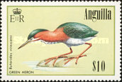 [Birds, type YR]