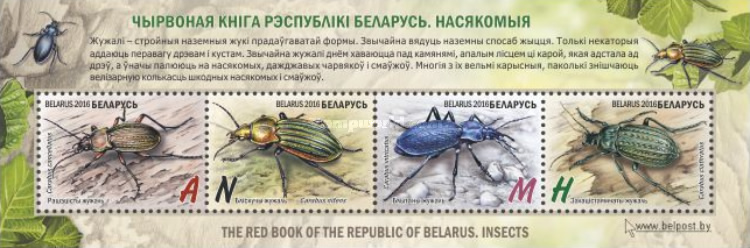 [Red Book of Belarus - Insects, type ]